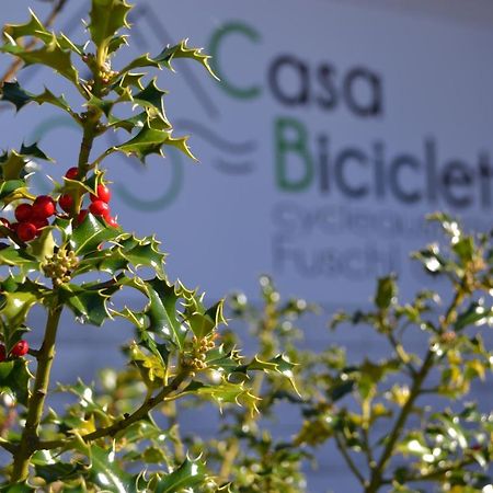 Casa Bicicletta Appartement Fuschl am See Buitenkant foto